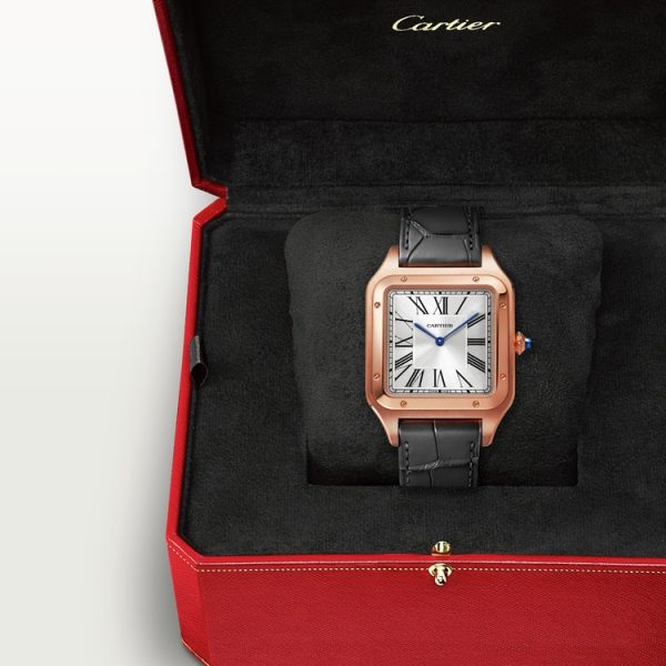 SANTOS-DUMONT WATCH - Image 2
