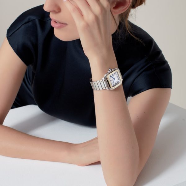 SANTOS DE CARTIER WATCH - Image 7