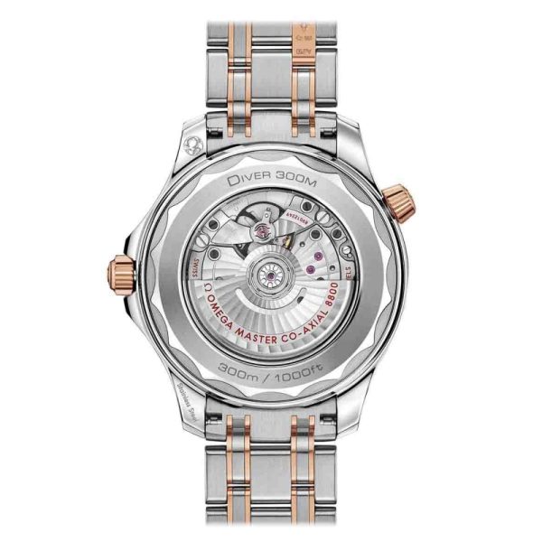 OMEGA DIVER 300M Seamaster 21020422003002 - Image 2
