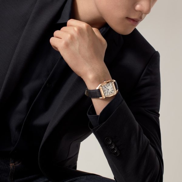 SANTOS-DUMONT WATCH - Image 9
